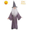 Lord of the Rings: Gandalf Wig and Beard Set - Child Halloween Costume Accessory