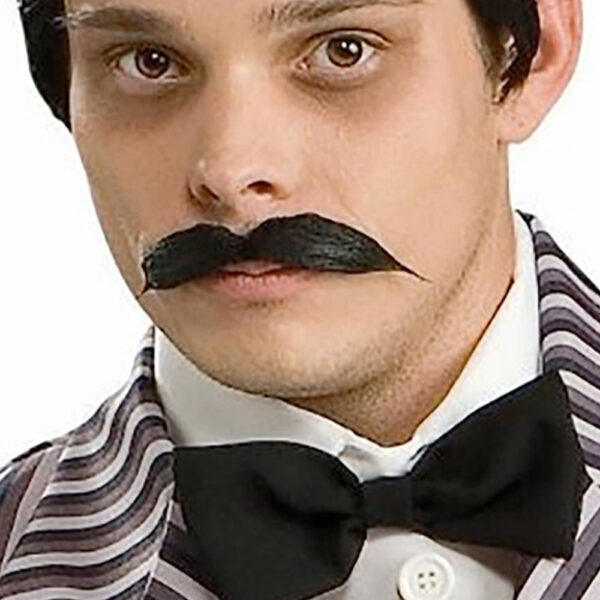 The Addams Family Gomez Wig & Moustache Costume Accessory - Image 3