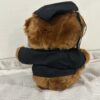 Graduation Bear Plush Toy Gift Doctorate with Hat Student Gift 9" - Image 6