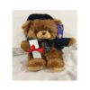 Graduation Bear Plush Toy Gift Doctorate with Hat Student Gift 9" - Image 3