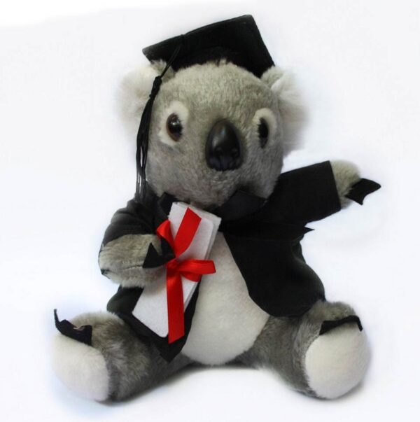 Australian Graduation Koala Plush Bush Outback Animal Soft Toy 8" - Image 2