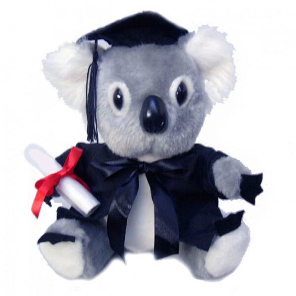 Australian Graduation Koala Plush Bush Outback Animal Soft Toy 8"