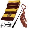 Gryffindor Harry Potter Costume Accessory Set Scarf Tie Glasses Wand Book Week