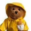 Teddy Bear Plush in Raincoat w Fluffy Ducky 30cm Paddington Style Kid Toy Animal - Image 3