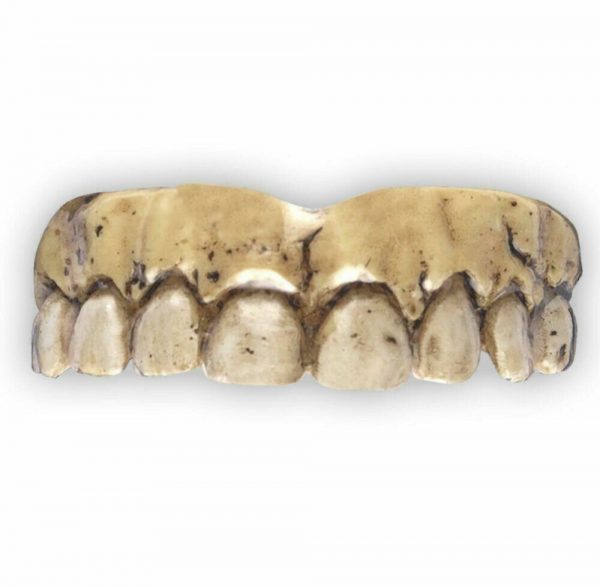 Billy Bob Custom Fit Costume Skeleton teeth halloween zombie Thermal Beads adult - Image 3