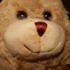 Plush Easter Bunny Rabbit Hare Cuddly Soft Toy 25cm Childs Baby Gift Birthday - Image 9