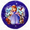 Sofia The First 5 Pc  Birthday Party Balloons Helium/Foil 116*68cm - Image 5