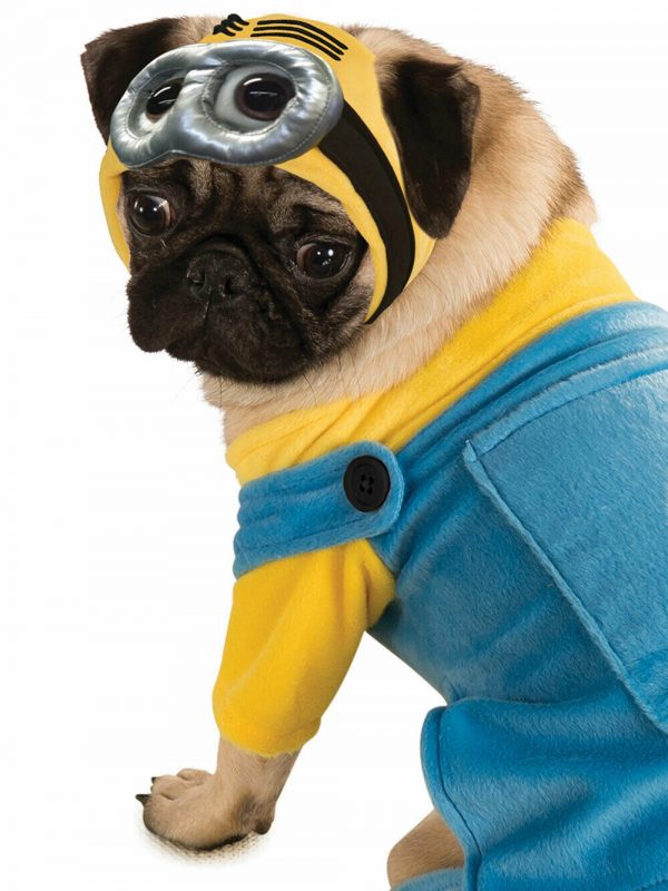 Despicable Me Minion Pet Dog Cat Costume Halloween Party Fancy Dress Animal XL - Image 4