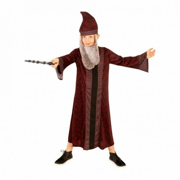 Licensed Harry Potter Professor Dumbledore Boys Costume Robe w Hat Bookweek 9+ - Image 4