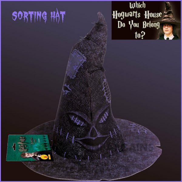 HARRY POTTER SORTING HAT, CHILD - Image 3
