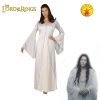 LICENSED ARWEN COSTUME LORD OF THE RINGS ADULT WOMENS ELF WHITE FAIRY BOOK WEEK - Image 3