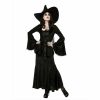 Witch Halloween Womens Costume Accessory Oversize Large Brim Hat Black w Tulle - Image 4