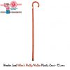 Walking Stick Cane Where's Waldo Wally Costume Prop Bookweek Accessory Adult 92c - Image 4