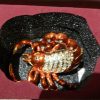 Womens Gift Jewellery Trinket Holder Scorpion Jewelled ornament holder with box - Image 10