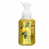 Bath & Body Works Foaming Hand Soap Wash Lemon Cherry Raspberry Tangerine 259ml - Image 6