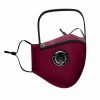 Cotton Face Mask Washable Reusable 2/5 PM2.5 Filters w Eyes Shield Anti Dust AU - Image 4