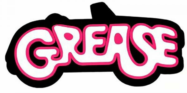 GREASE T-BIRDS JACKET MENS MOVIE COSTUME LICENSED 50 60'S BIKER FANCY DRESS - Image 5