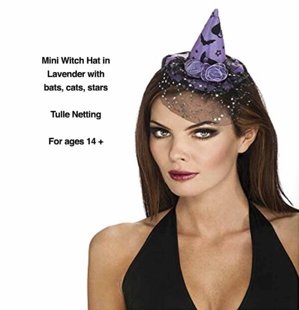Rubies Black & Purple Mini Halloween Witch Costume Hat w Cats, Roses Tulle Age 14+